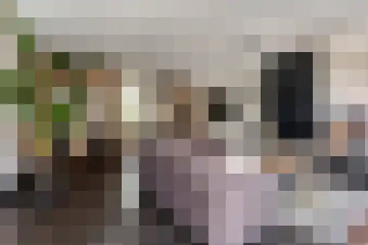 Terp 15 Pijnacker thumbnail 12