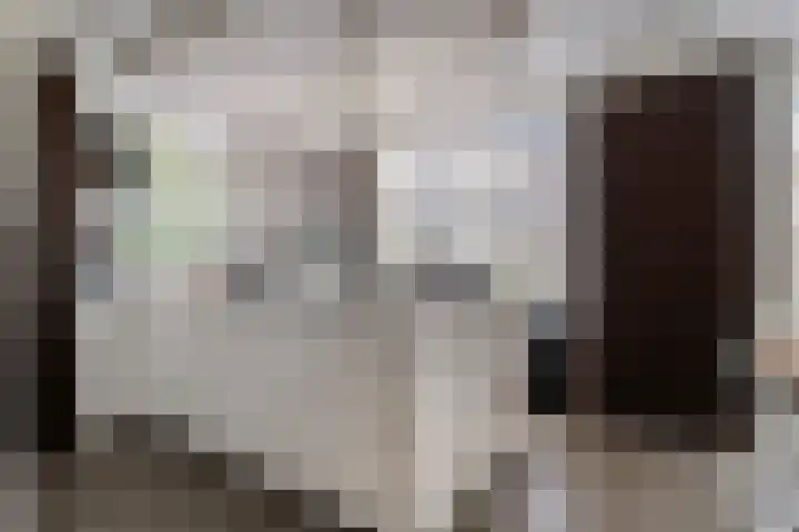 Terp 15 Pijnacker thumbnail 13