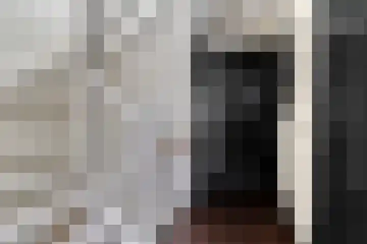 Terp 15 Pijnacker thumbnail 17