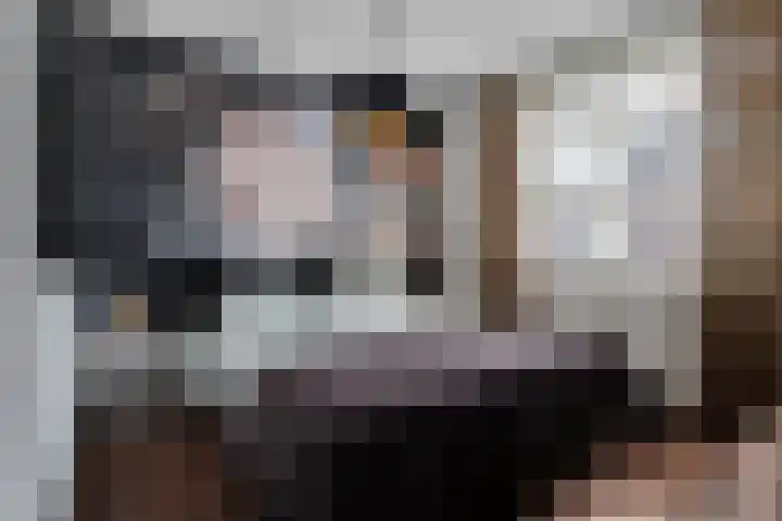 Terp 15 Pijnacker thumbnail 19