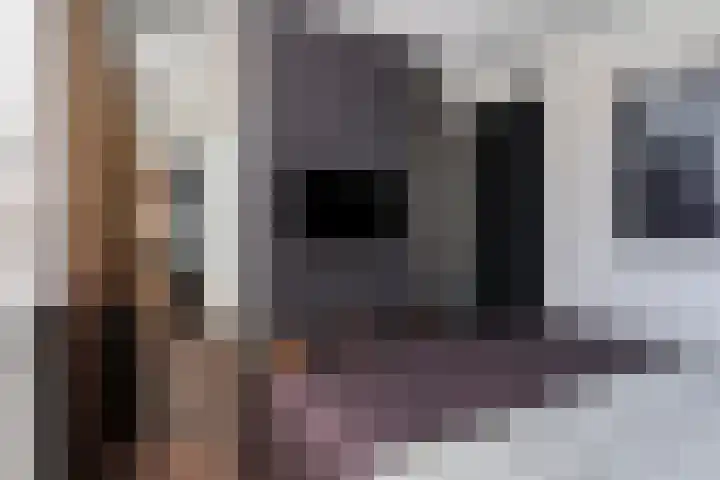 Terp 15 Pijnacker thumbnail 20