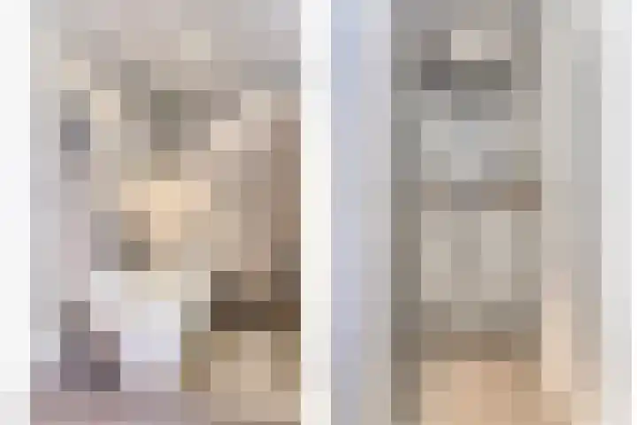 Terp 15 Pijnacker thumbnail 22