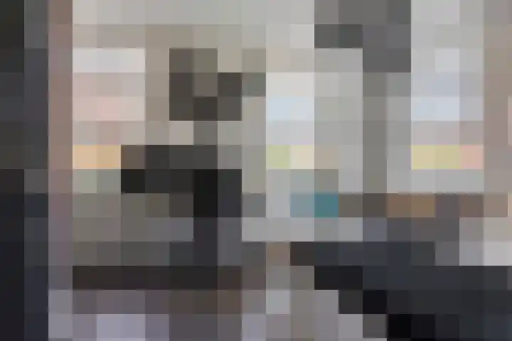 Terp 15 Pijnacker thumbnail 23