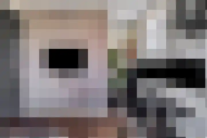 Terp 15 Pijnacker thumbnail 25