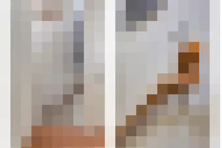 Terp 15 Pijnacker thumbnail 27