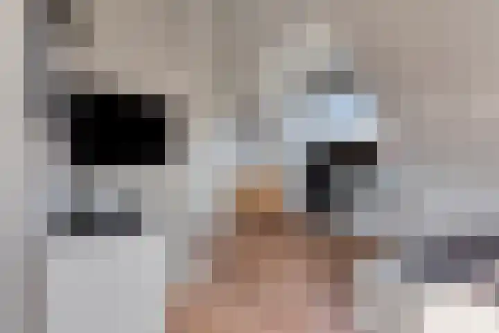 Terp 15 Pijnacker thumbnail 29