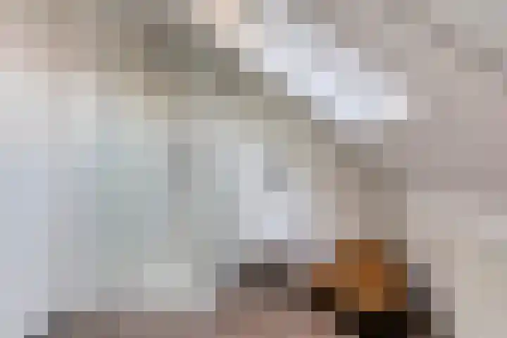 Terp 15 Pijnacker thumbnail 30