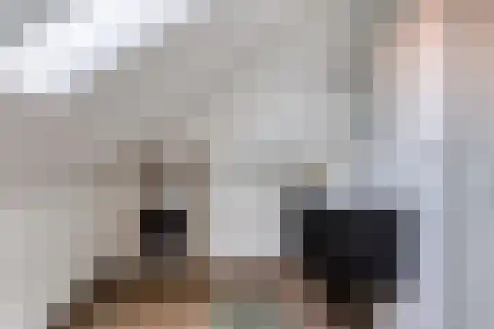 Terp 15 Pijnacker thumbnail 31