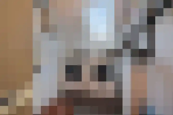 Terp 15 Pijnacker thumbnail 32