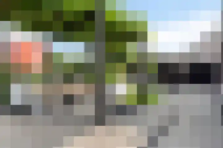 Terp 15 Pijnacker thumbnail 35