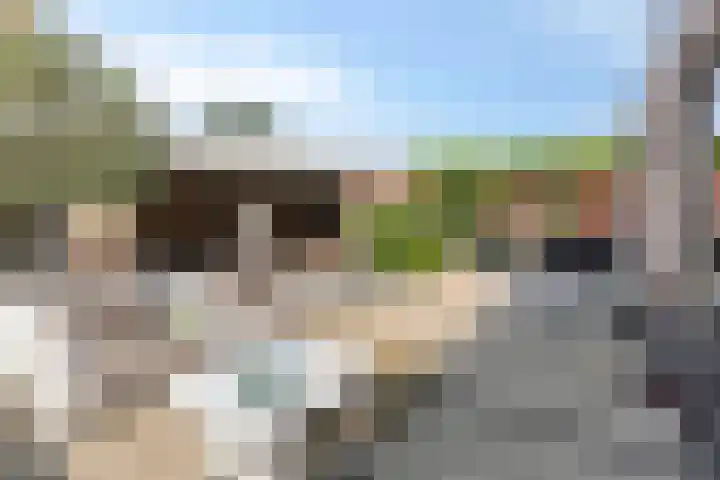 Terp 15 Pijnacker thumbnail 36