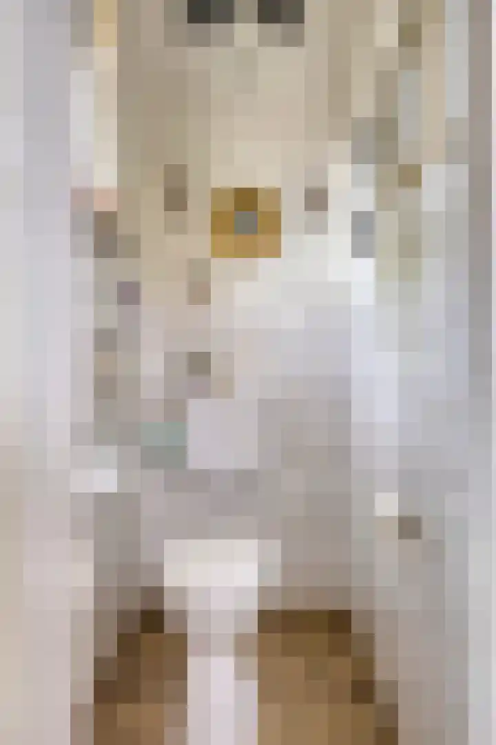 Terp 15 Pijnacker thumbnail 38