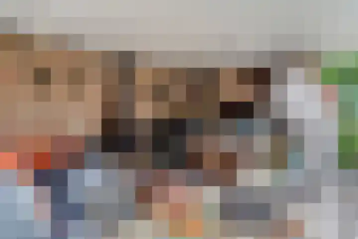 Terp 15 Pijnacker thumbnail 38