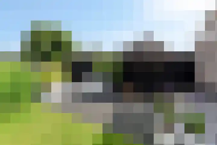 Terp 15 Pijnacker thumbnail 39
