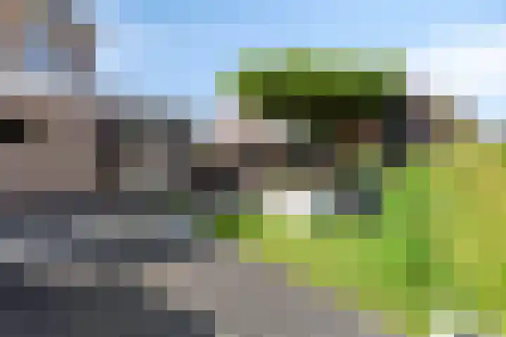 Terp 15 Pijnacker thumbnail 40