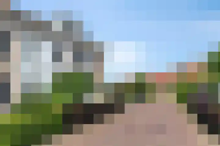 Terp 15 Pijnacker thumbnail 42