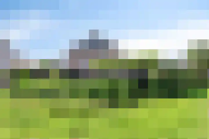 Terp 15 Pijnacker thumbnail 44