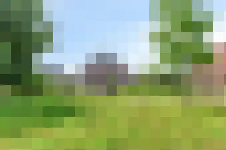 Terp 15 Pijnacker thumbnail 45