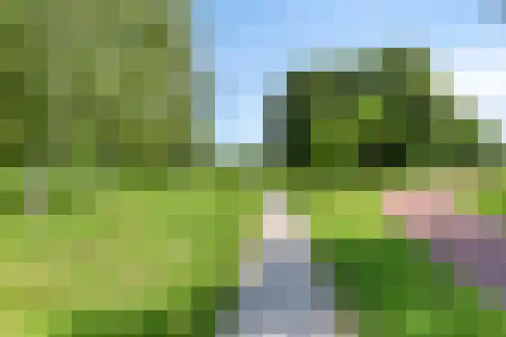 Terp 15 Pijnacker thumbnail 46