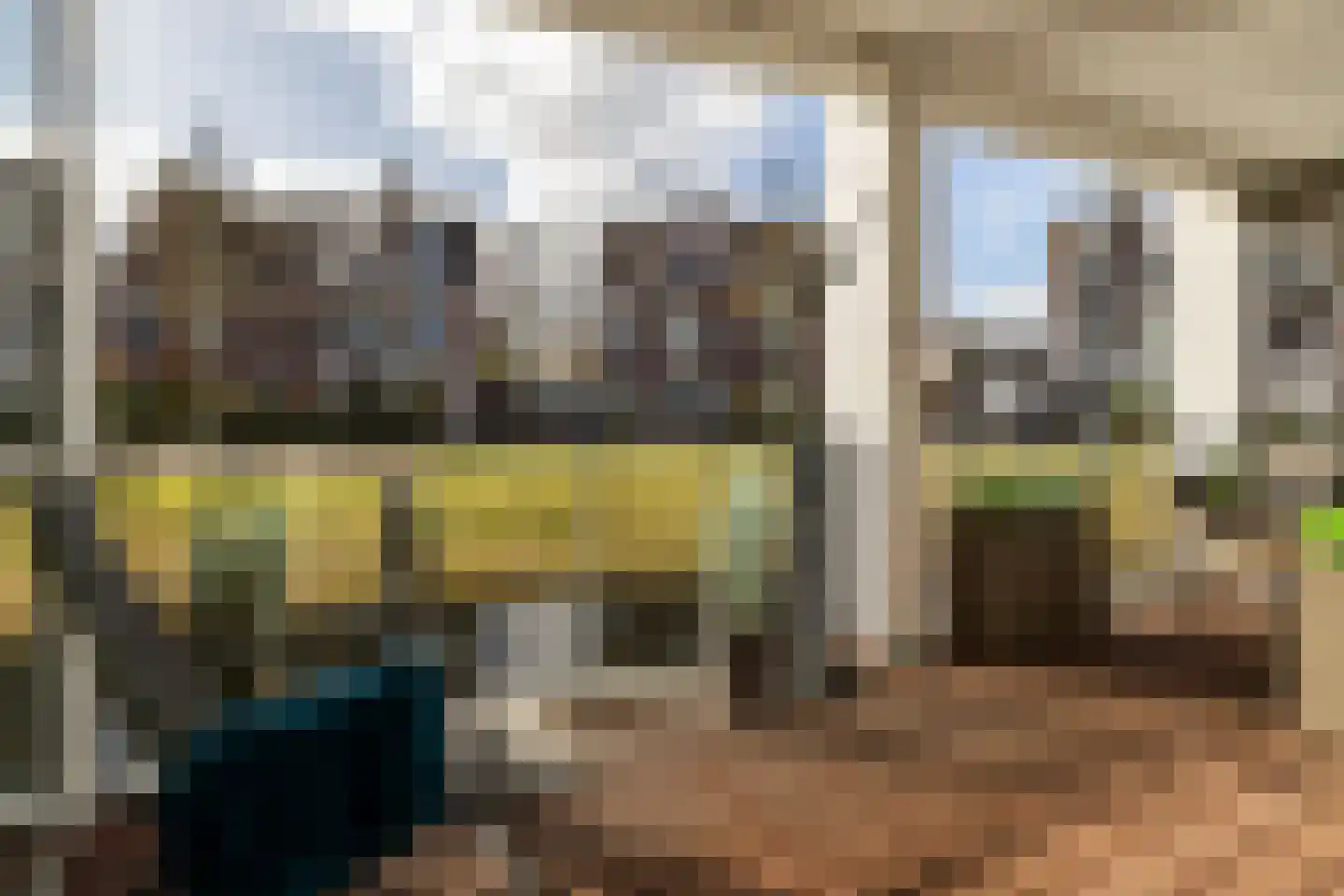 Terp 15 Pijnacker thumbnail 52