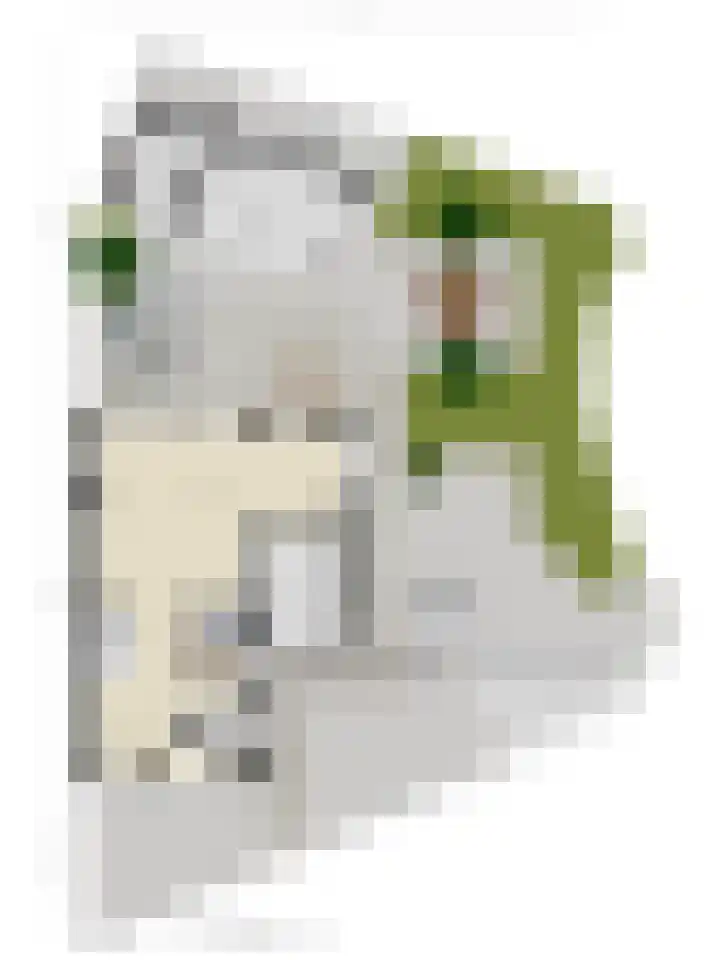 Terp 15 Pijnacker thumbnail 53