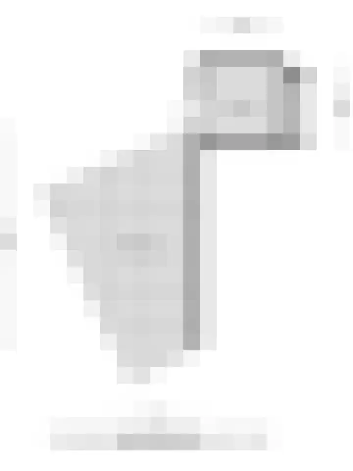 Terp 15 Pijnacker thumbnail 58