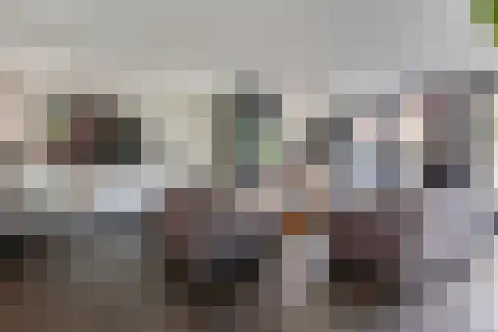 Terp 15 Pijnacker thumbnail 6