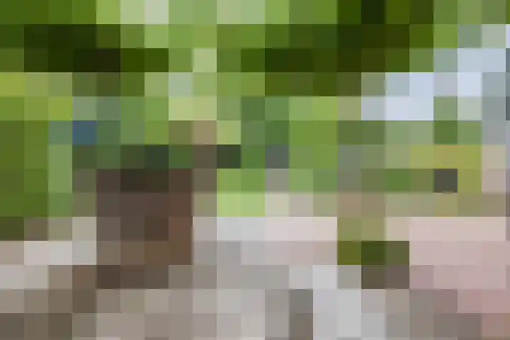 Terp 15 Pijnacker thumbnail 7