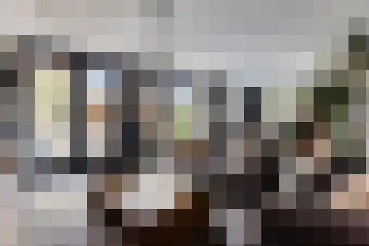 Terp 15 Pijnacker thumbnail 7