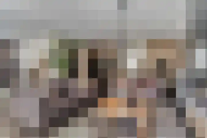 Terp 15 Pijnacker thumbnail 9