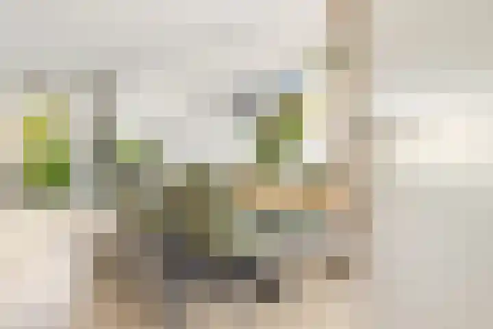 Terp 21 Alkmaar thumbnail 10