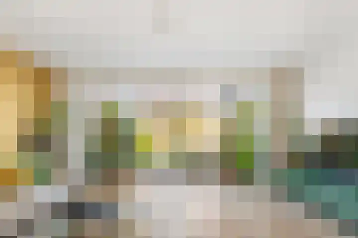 Terp 21 Alkmaar thumbnail 12