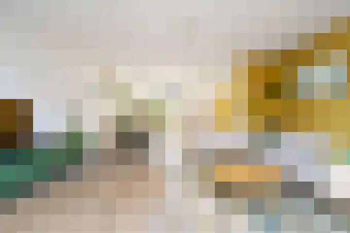 Terp 21 Alkmaar thumbnail 17