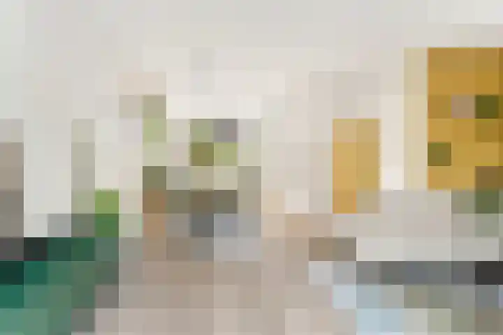 Terp 21 Alkmaar thumbnail 18
