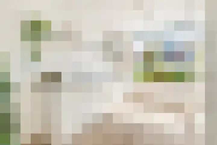 Terp 21 Alkmaar thumbnail 19
