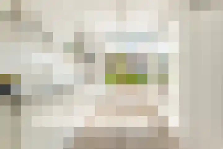 Terp 21 Alkmaar thumbnail 20