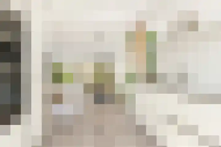 Terp 21 Alkmaar thumbnail 21