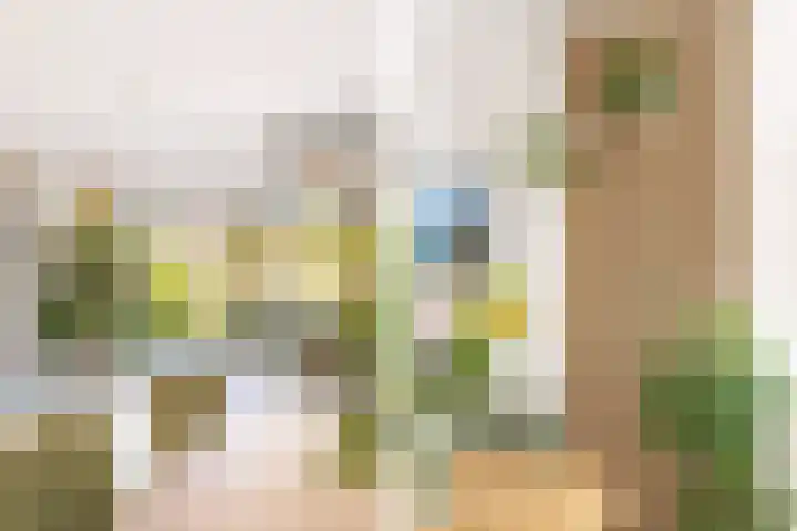 Terp 21 Alkmaar thumbnail 23
