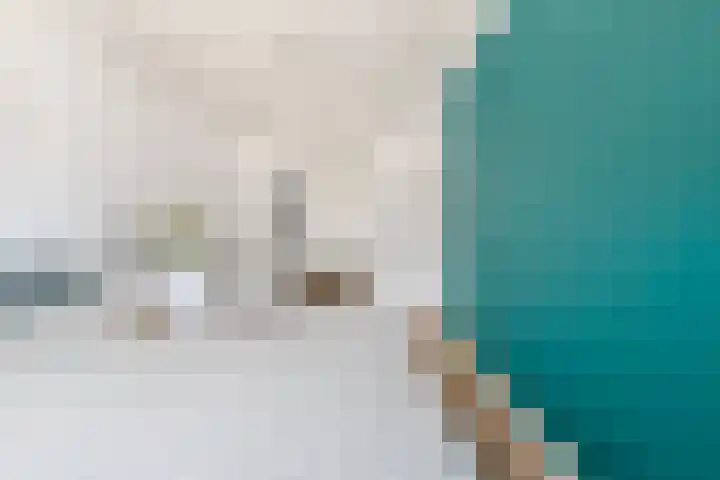 Terp 21 Alkmaar thumbnail 28