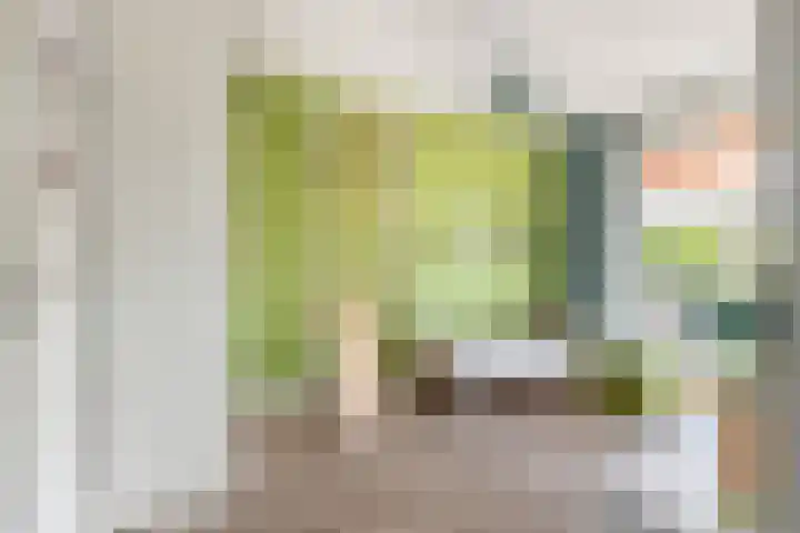 Terp 21 Alkmaar thumbnail 29