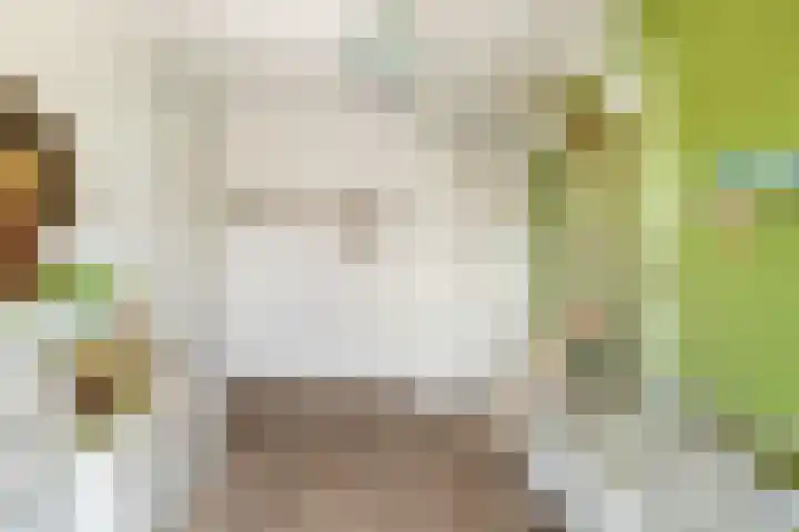Terp 21 Alkmaar thumbnail 30