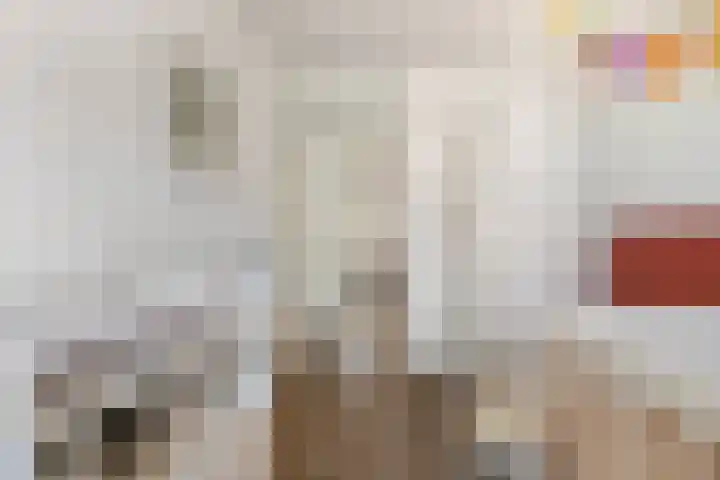 Terp 21 Alkmaar thumbnail 32