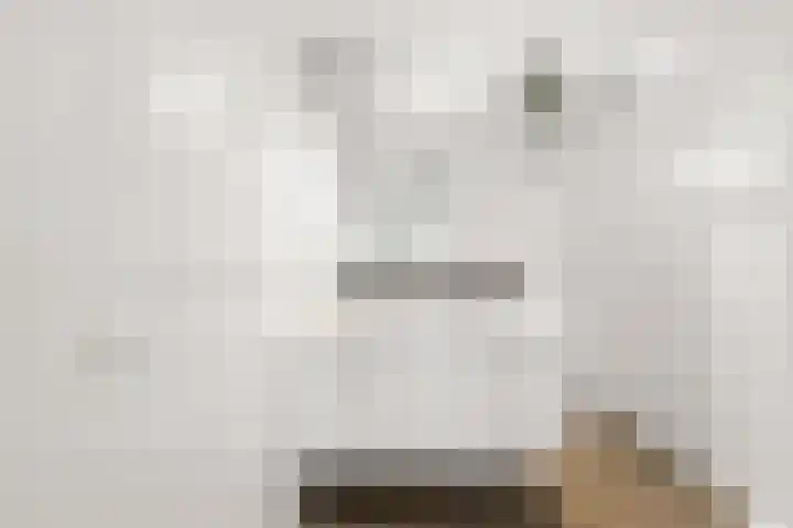 Terp 21 Alkmaar thumbnail 33