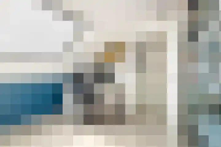 Terp 21 Alkmaar thumbnail 40