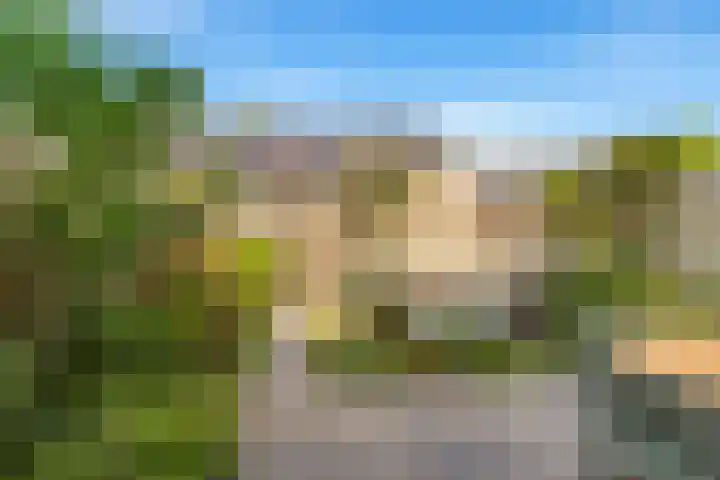 Terp 21 Alkmaar thumbnail 43