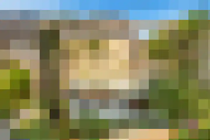 Terp 21 Alkmaar thumbnail 44