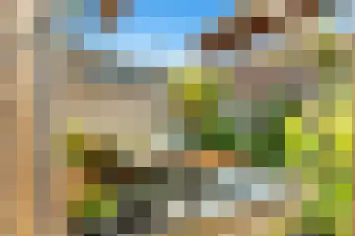 Terp 21 Alkmaar thumbnail 45