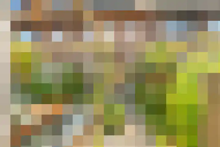 Terp 21 Alkmaar thumbnail 46