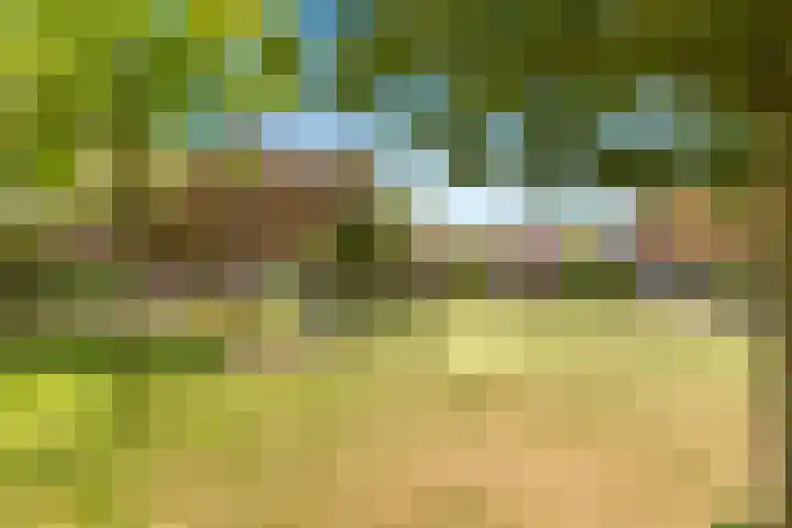 Terp 21 Alkmaar thumbnail 50