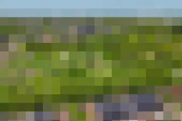 Terp 21 Alkmaar thumbnail 51
